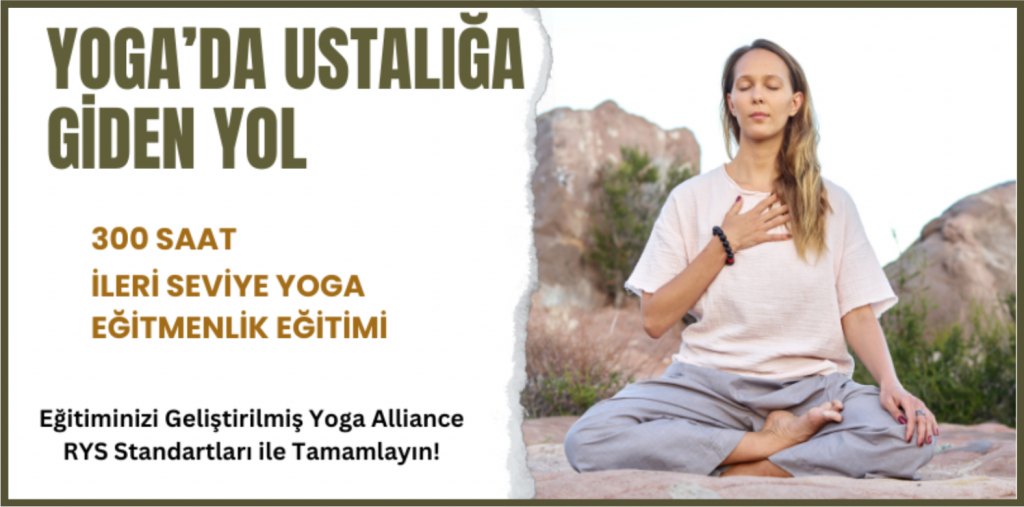 OmSiva Akademi 300 Saat Yoga Eğitmenlik Eğitimi