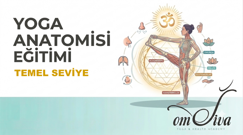 yoga eğitmenlik eğitiminde yoga anatomisi eğitim modülü